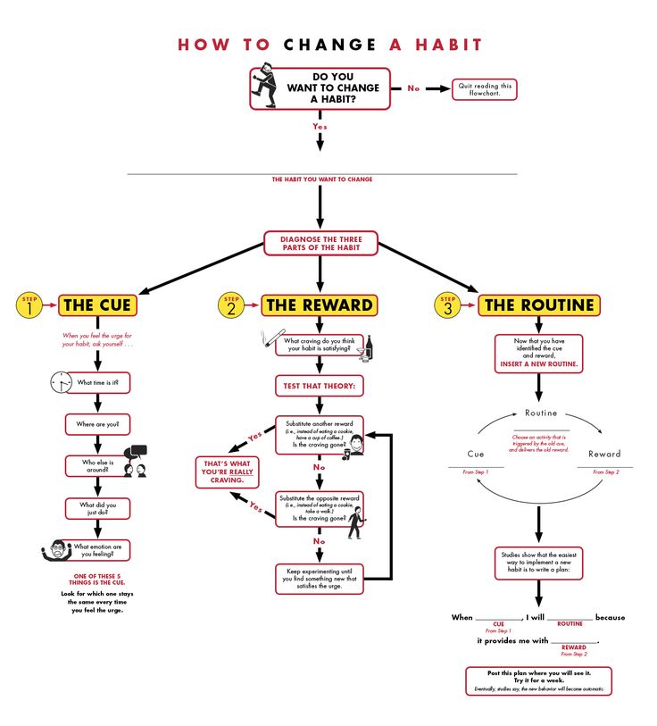 19 Flowcharts That Will Actually Teach You Something Dolphins,American Airlines Baggage Fee Receipt
